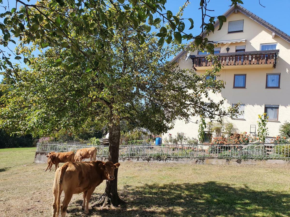 Chickenhill Blackforest, Grosse Ferienwohnung Im Schwarzwald Bad Wildbad Kültér fotó